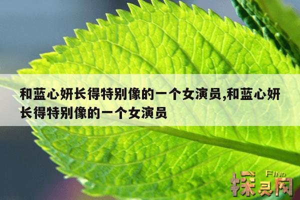 和蓝心妍长得特别像的一个女演员,和蓝心妍长得特别像的一个女演员