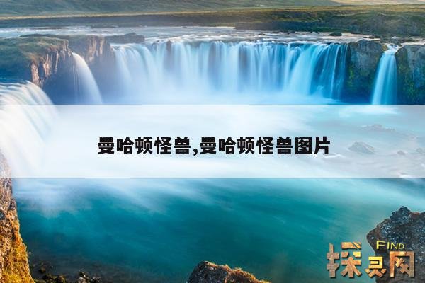 曼哈顿怪兽,曼哈顿怪兽图片