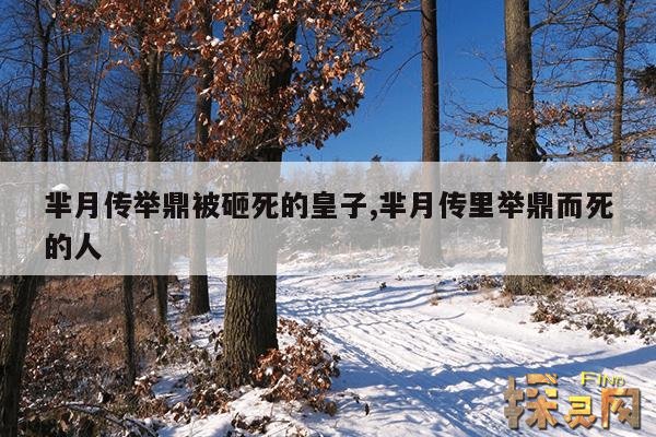 芈月传举鼎被砸死的皇子,芈月传里举鼎而死的人