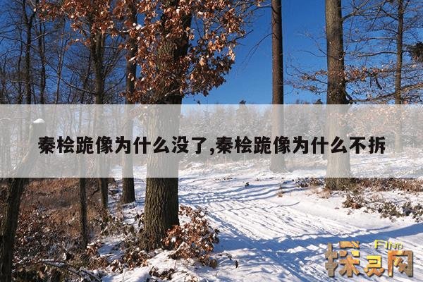 秦桧跪像为什么没了,秦桧跪像为什么不拆