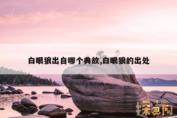 白眼狼出自哪个典故,白眼狼出自哪个典故中