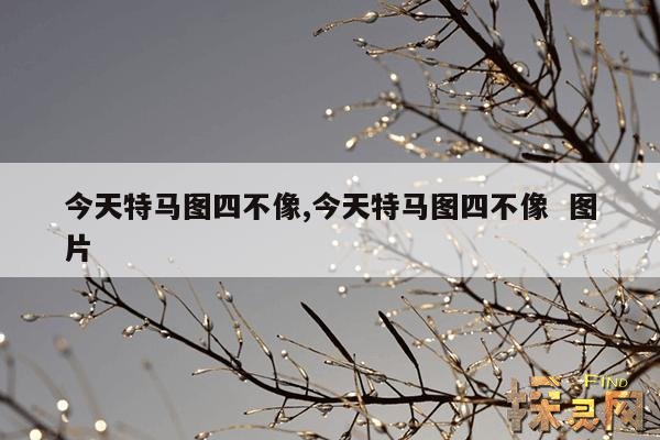 今天特马图四不像,今天特马图四不像 图片