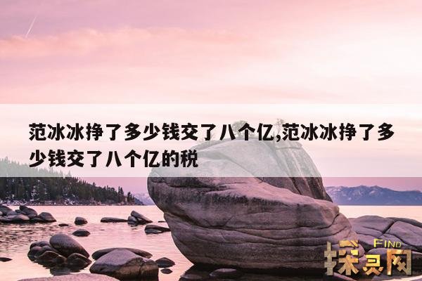 范冰冰挣了多少钱交了八个亿,范冰冰挣了多少钱交了八个亿的税