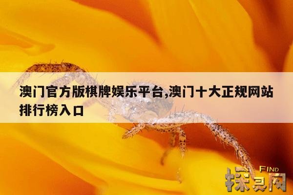 澳门官方版棋牌娱乐平台,澳门十大正规网站排行榜入口