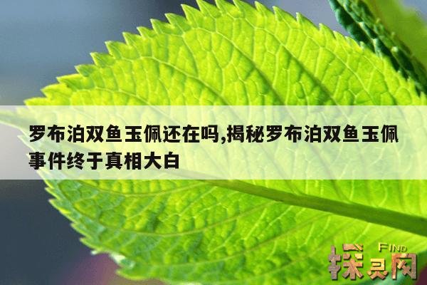 罗布泊双鱼玉佩还在吗?,罗布泊双鱼玉佩事件百度百科