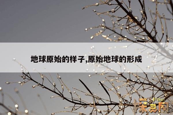 地球原始的样子,原始地球的形成