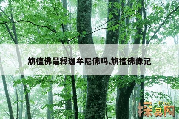 旃檀佛是释迦牟尼佛吗?,旃檀佛怎么读