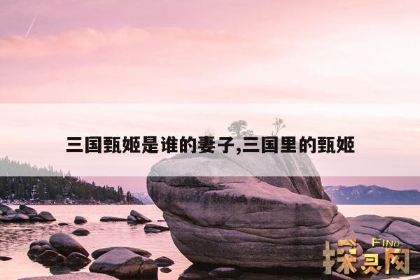 三国甄姬是谁的妻子,甄姬是三国人物吗?