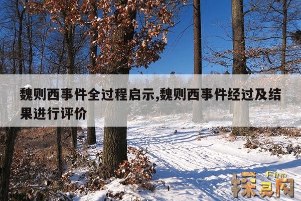 魏则西事件全过程启示,魏则西事件经过及结果进行评价