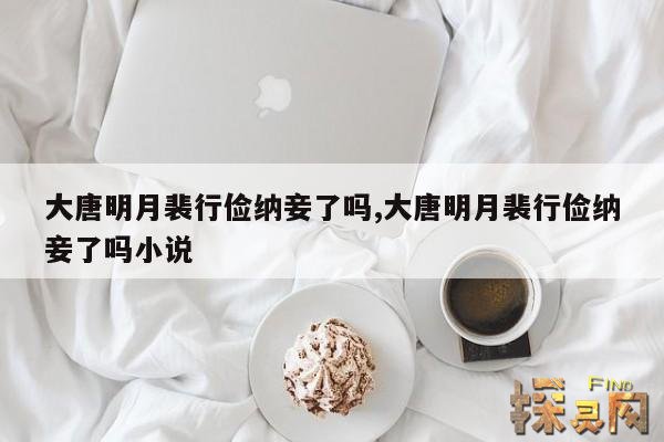 大唐明月裴行俭纳妾了吗?,大唐明月 裴二郎是谁