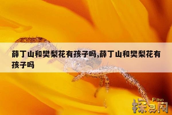 薛丁山和樊梨花有孩子吗?,薛丁山和樊梨花有几个孩子