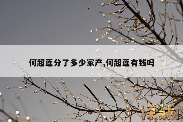 何超莲分了多少家产,何超莲有钱吗
