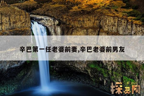 辛巴第一任老婆前妻,辛巴老婆前男友