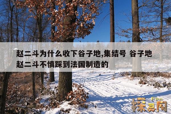 赵二斗为什么收下谷子地,集结号 谷子地 赵二斗不慎踩到法国制造的