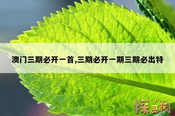 澳门三期必开一首,三期必开一期三期必出特