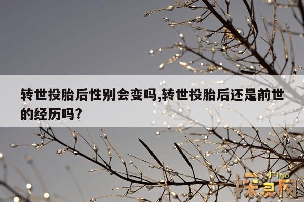 转世投胎后性别会变吗?,转世投胎后长相会变吗?
