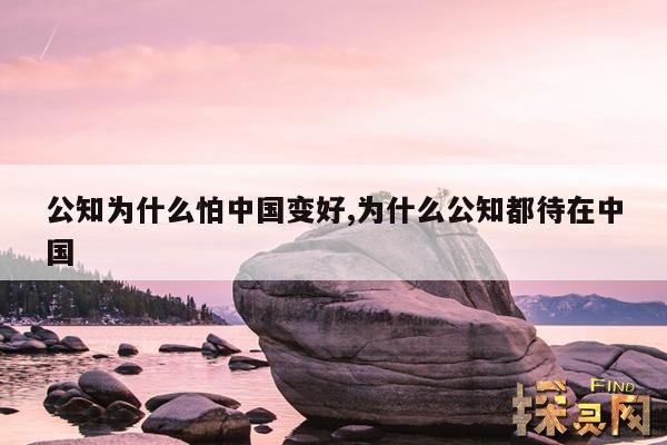 公知为什么怕中国变好,为什么公知都待在中国
