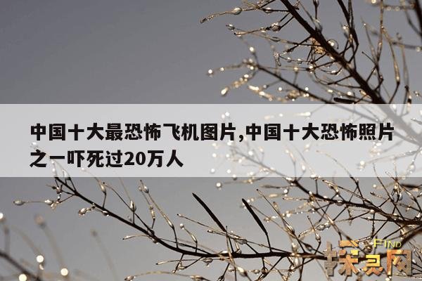 中国十大最恐怖飞机图片,中国十大恐怖照片之一吓死过20万人