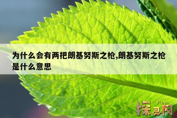 为什么会有两把朗基努斯之枪,朗基努斯之枪是什么意思