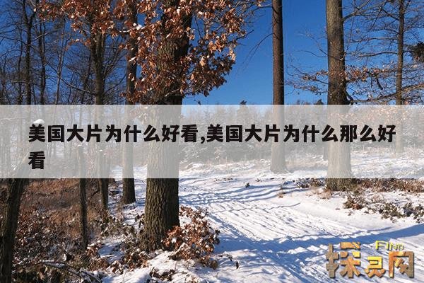 美国大片为什么好看,美国大片为什么那么好看