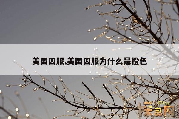 美国囚服,美国囚服为什么是橙色