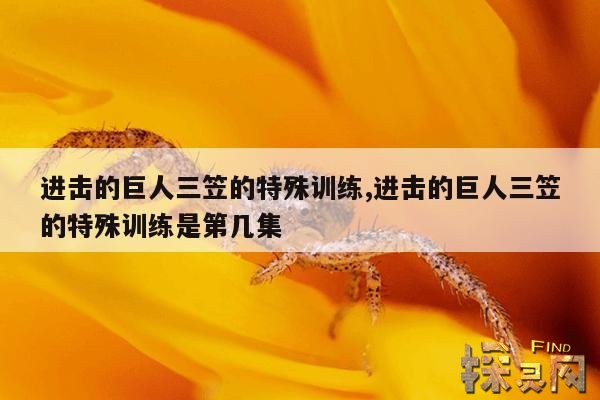 进击的巨人三笠的特殊训练,进击的巨人~三笠的训练 v1.10