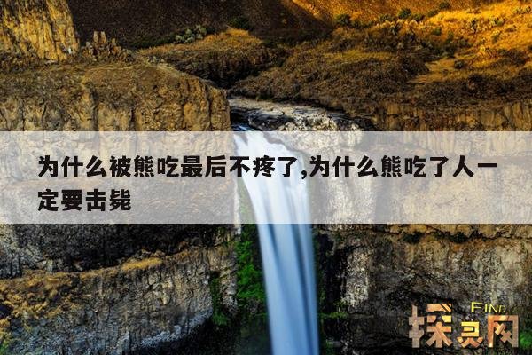为什么被熊吃最后不疼了,为什么熊吃了人一定要击毙