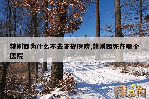 魏则西为什么不去正规医院,魏则西?
