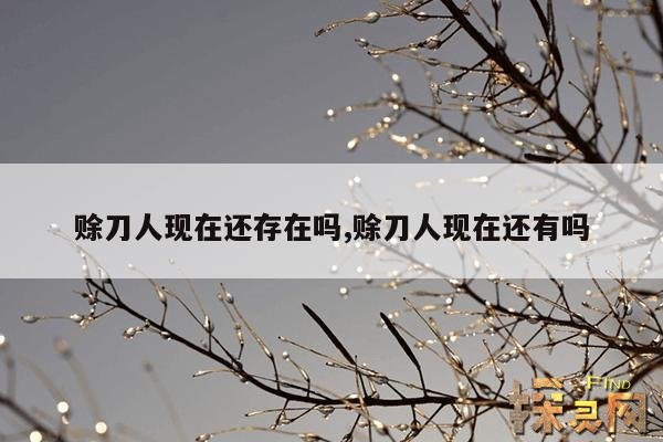 赊刀人现在还存在吗?,赊刀人现在还存在吗?百度百科