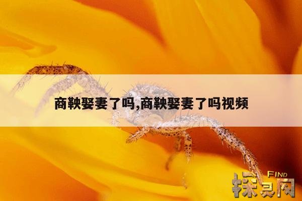 商鞅娶妻了吗?,商鞅娶谁为妻