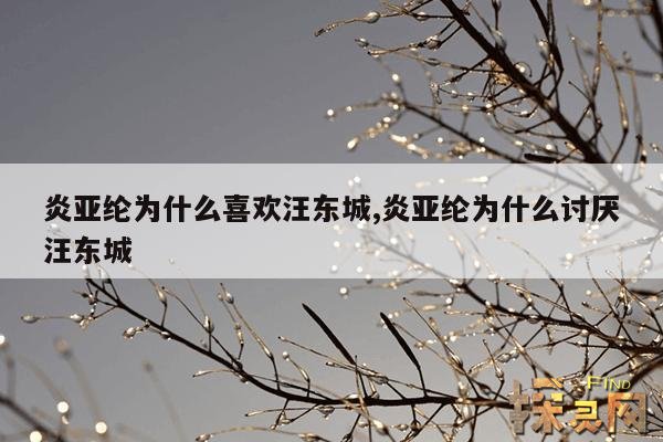 炎亚纶为什么喜欢汪东城,炎亚纶真的爱汪东城吗?