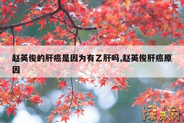 赵英俊的肝癌是因为有乙肝吗?,赵英俊得过肝炎