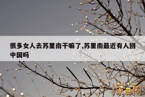 很多女人去苏里南干嘛了,苏里南最近有人回中国吗