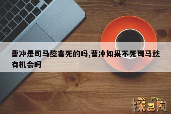 曹冲是司马懿害死的吗?,曹冲和司马懿谁聪明